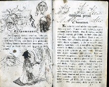 kresby a karikatury