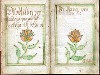 title page