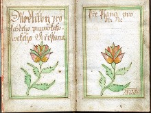 title page