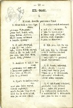 kresba V