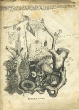 picture sketched in VI