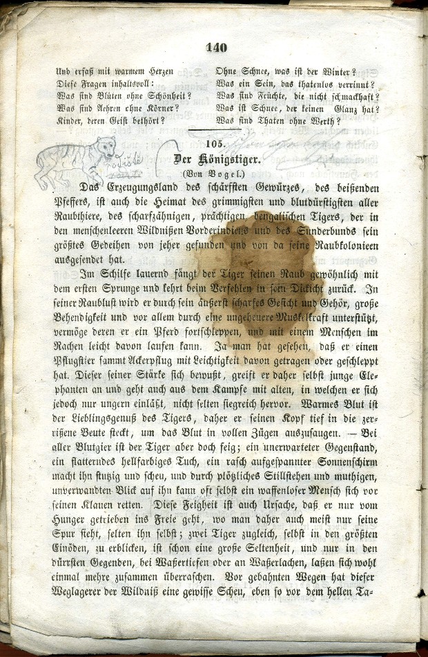 kresby XVI