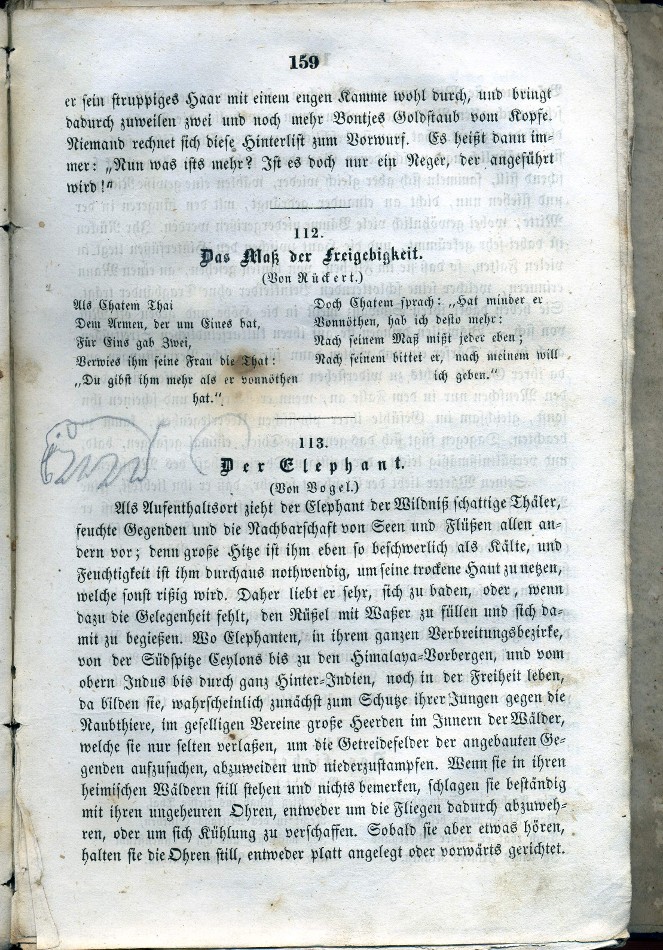 kresby XVII