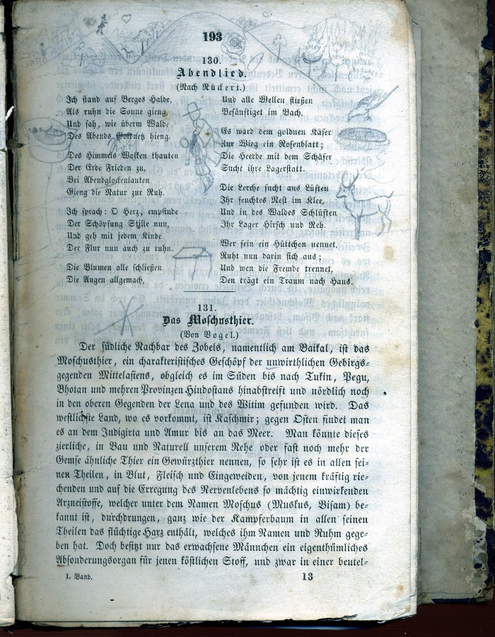 kresby XXIII