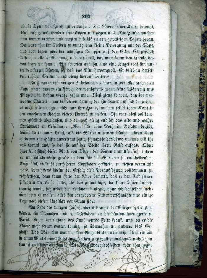 kresby XXVI