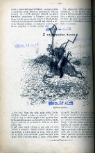 dokreslovaný obrázek II