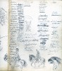 drawings and orders of illustrations
