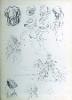 drawings IV