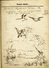 drawing II