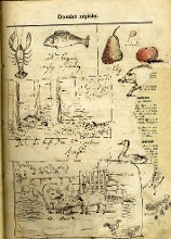 drawings VII