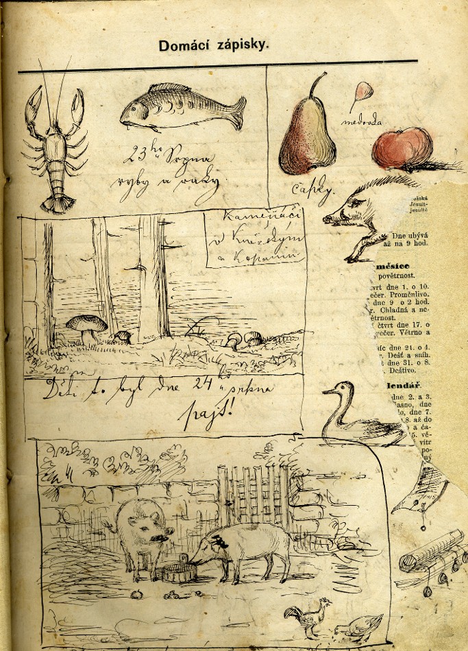 drawings VII
