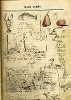 drawings VII