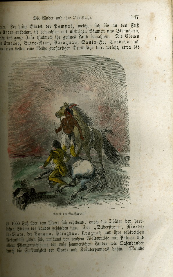 kolorovaný obrázek