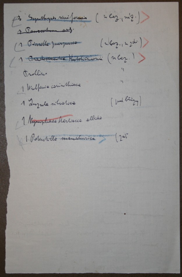 vložený list s Čapkem vypsanými jmény rostlin III 