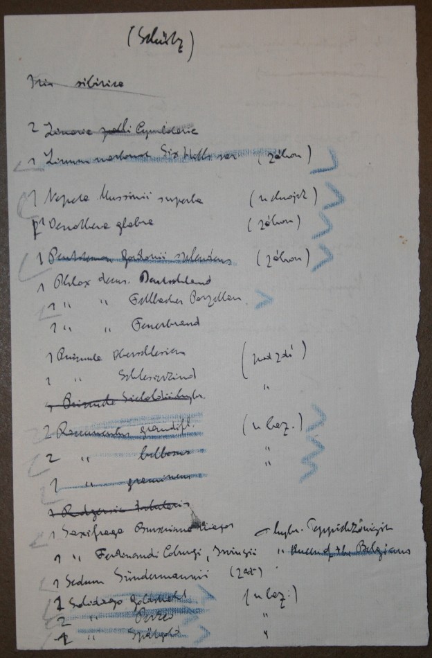 inserted list of Čapek´s notes about plants IV