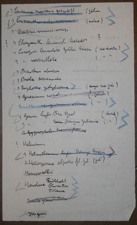 inserted list of Čapek´s notes about plants IV - behind