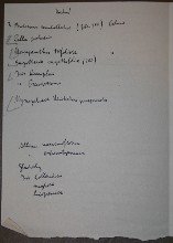 inserted list of Čapek´s notes about plants IX - behind