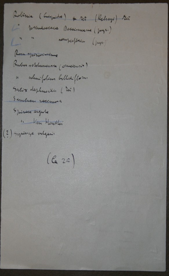 vložený list s Čapkem vypsanými jmény rostlin VI - druhá strana