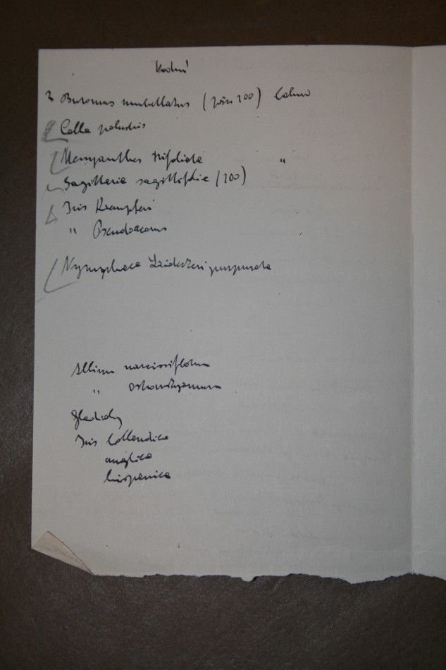 vložený list s Čapkem vypsanými jmény rostlin VIII
